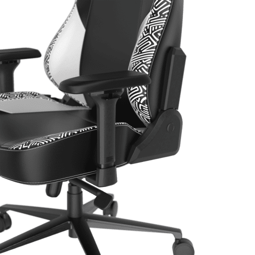 DXRacer Craft Pro Stripes1 Black White (GC/LCF23LTA/EMAZE) Gaming Chair