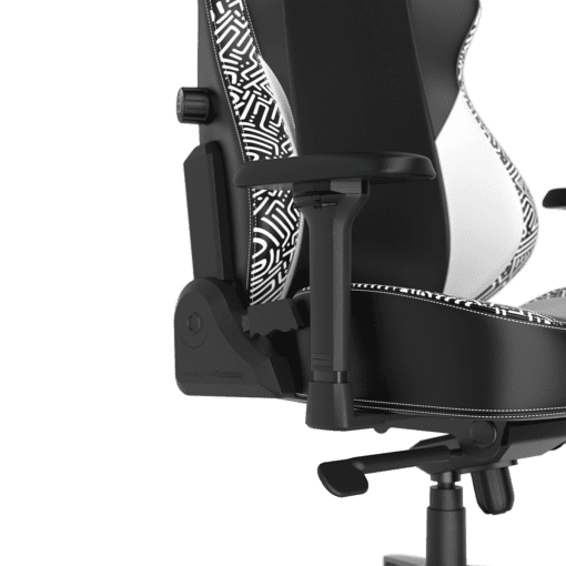 DXRacer Craft Pro Stripes1 Black White (GC/LCF23LTA/EMAZE) Gaming Chair