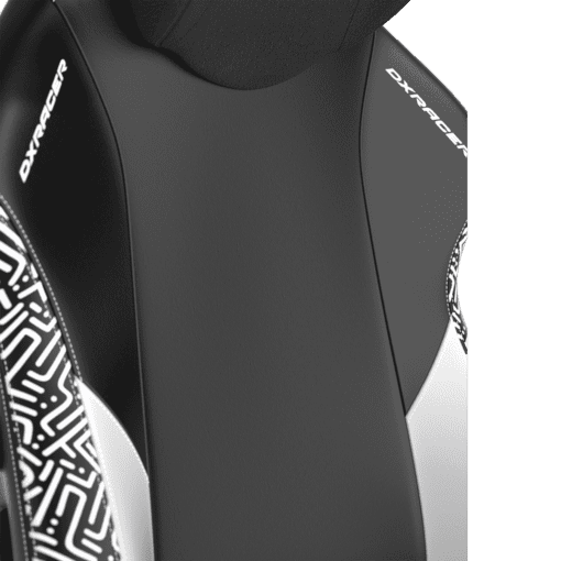 DXRacer Craft Pro Stripes1 Black White (GC/LCF23LTA/EMAZE) Gaming Chair