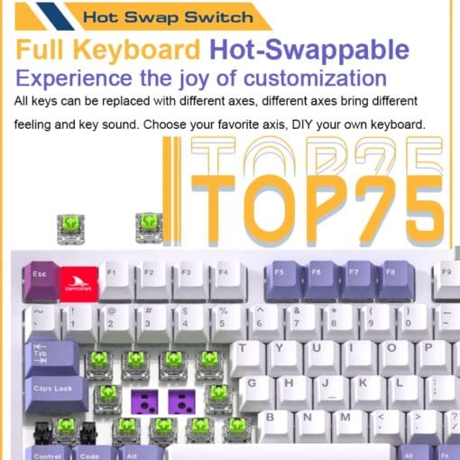 Darmoshark TOP75 Trio-mode Wireless Gaming Mechanical Keyboard - 75%, All key hot-plugging, TTC Shark Switch, Dynamic RGB Lighting, Custom Knob, TFT Custom Screen