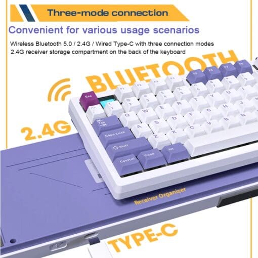 Darmoshark TOP75 Trio-mode Wireless Gaming Mechanical Keyboard - 75%, All key hot-plugging, TTC Shark Switch, Dynamic RGB Lighting, Custom Knob, TFT Custom Screen